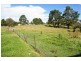 41 Leece Road, Uralla NSW 2358
