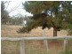 Lot/392 Sawpit Gully Loop, Uralla NSW 2358