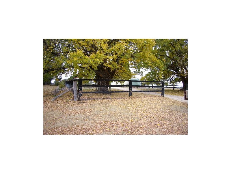 57 Leece Road, Uralla NSW 2358