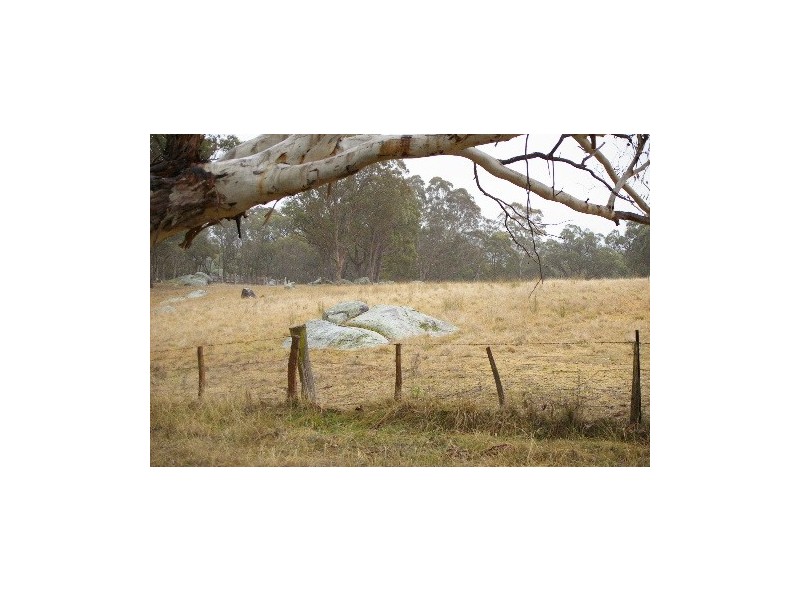 568 & 595 Rifle Range Road, Uralla NSW 2358