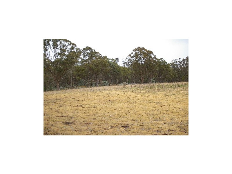 568 & 595 Rifle Range Road, Uralla NSW 2358