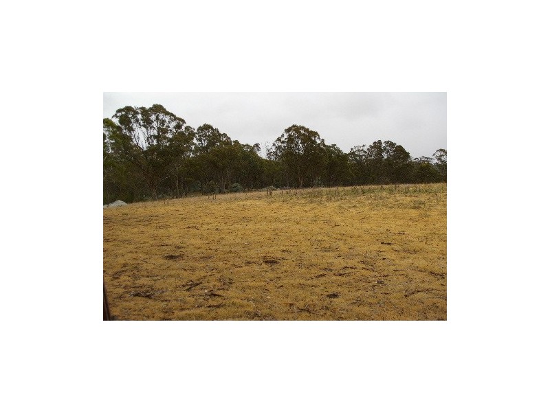 568 & 595 Rifle Range Road, Uralla NSW 2358
