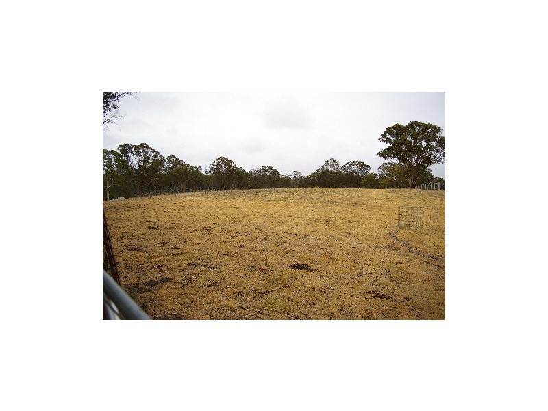568 & 595 Rifle Range Road, Uralla NSW 2358