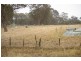 568 & 595 Rifle Range Road, Uralla NSW 2358