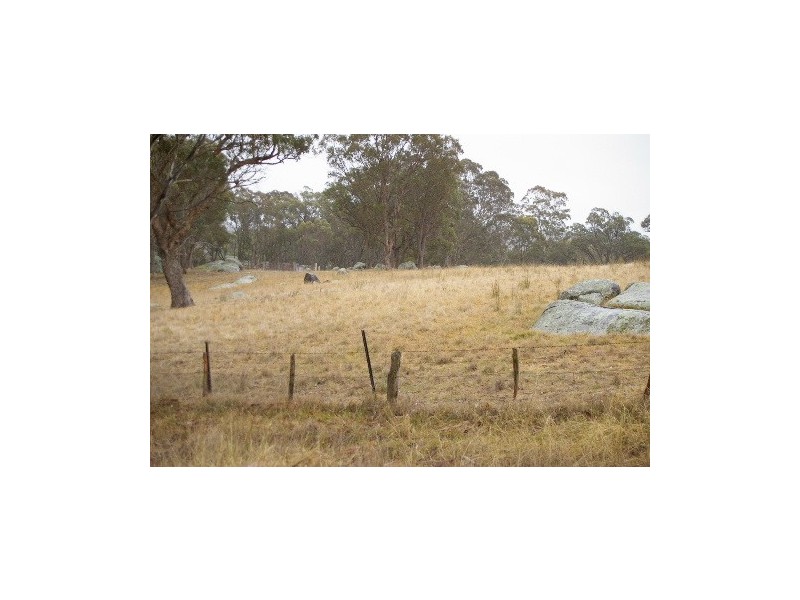 568 & 595 Rifle Range Road, Uralla NSW 2358