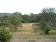 Lot 206 Redman Vale Road, Jerrys Plains NSW 2330