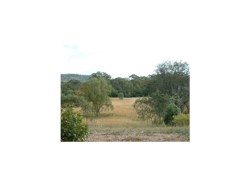 Lot 206 Redman Vale Road, Jerrys Plains NSW 2330