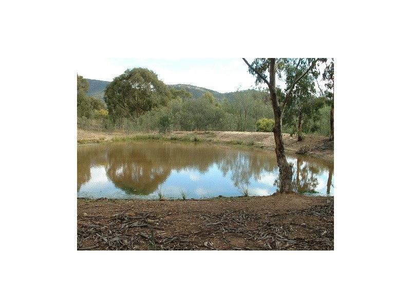 Lot 206 Redman Vale Road, Jerrys Plains NSW 2330