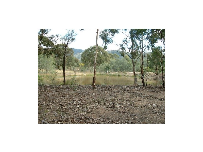 Lot 206 Redman Vale Road, Jerrys Plains NSW 2330