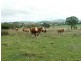 ‘Arran Park’ Winterbourne Road, Walcha NSW 2354