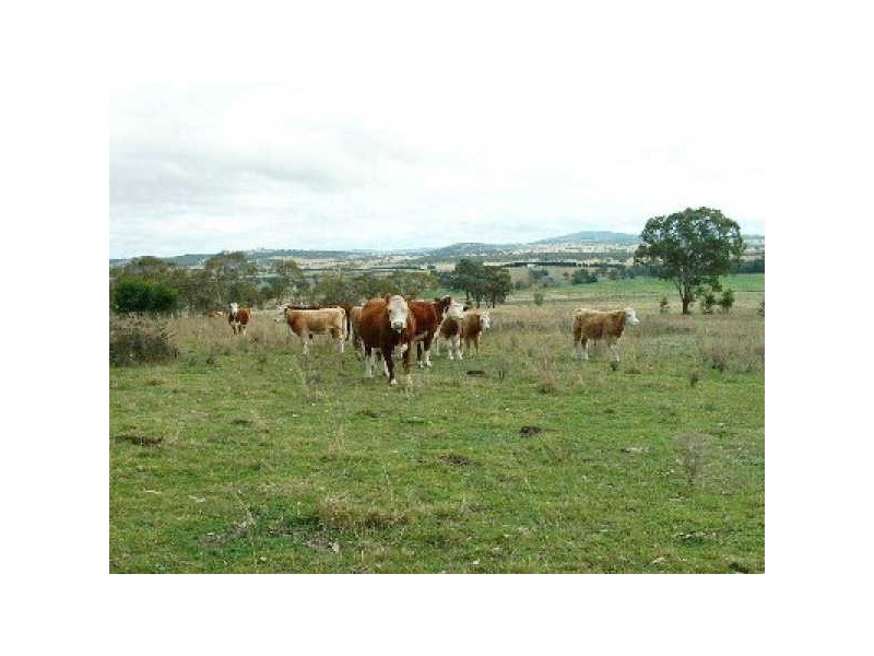 ‘Arran Park’ Winterbourne Road, Walcha NSW 2354