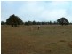 155 Dumaresq Road, Saumarez Ponds NSW 2350