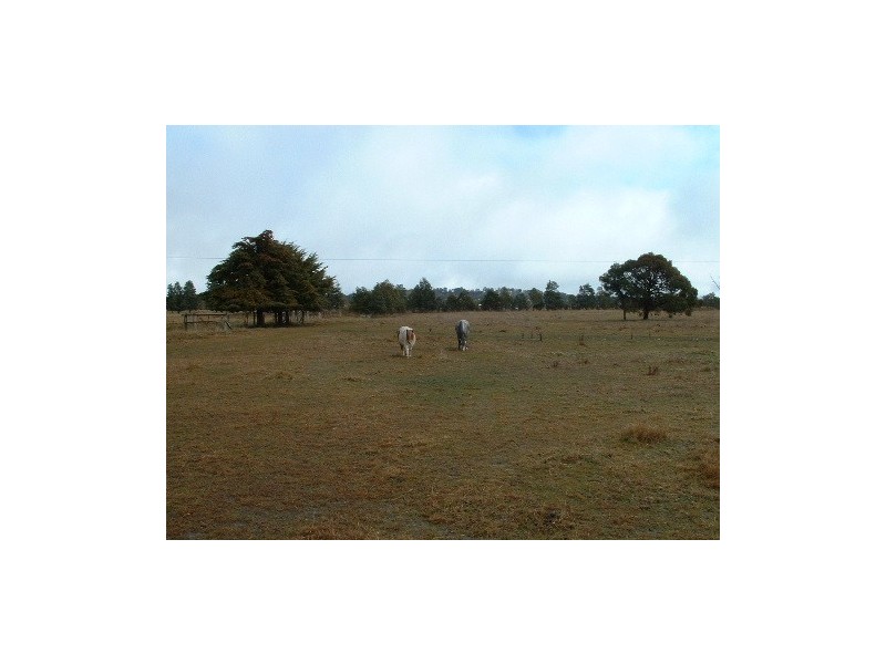 155 Dumaresq Road, Saumarez Ponds NSW 2350