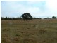 155 Dumaresq Road, Saumarez Ponds NSW 2350