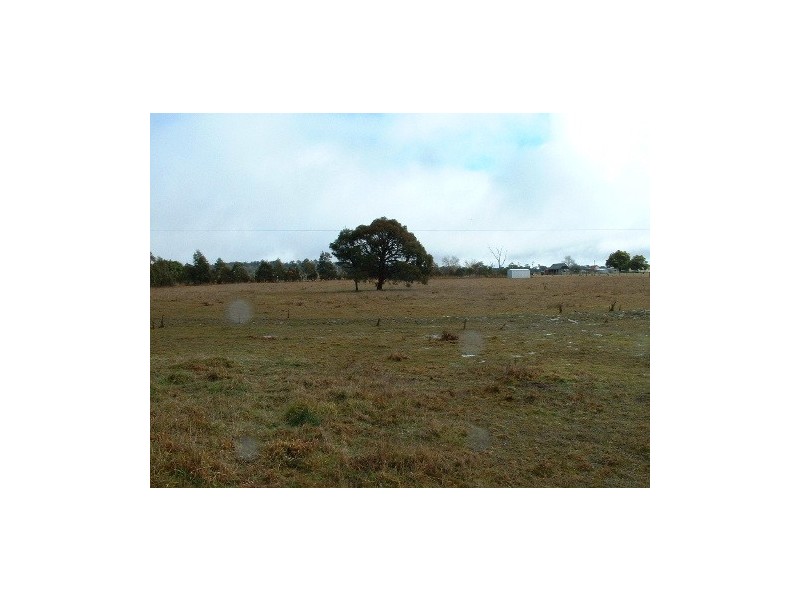 155 Dumaresq Road, Saumarez Ponds NSW 2350