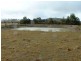155 Dumaresq Road, Saumarez Ponds NSW 2350