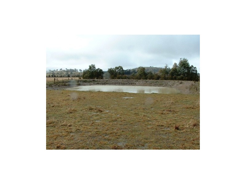 155 Dumaresq Road, Saumarez Ponds NSW 2350