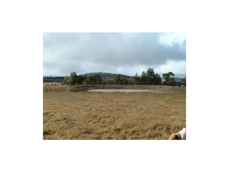 155 Dumaresq Road, Saumarez Ponds NSW 2350