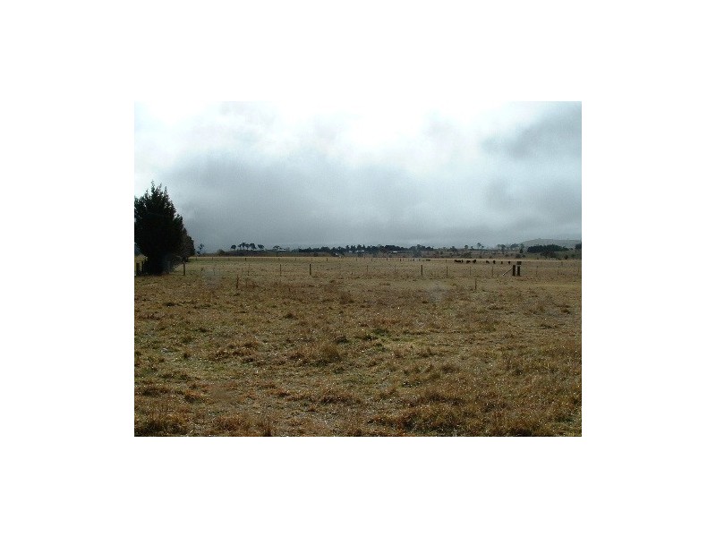 155 Dumaresq Road, Saumarez Ponds NSW 2350