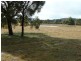 155 Dumaresq Road, Saumarez Ponds NSW 2350