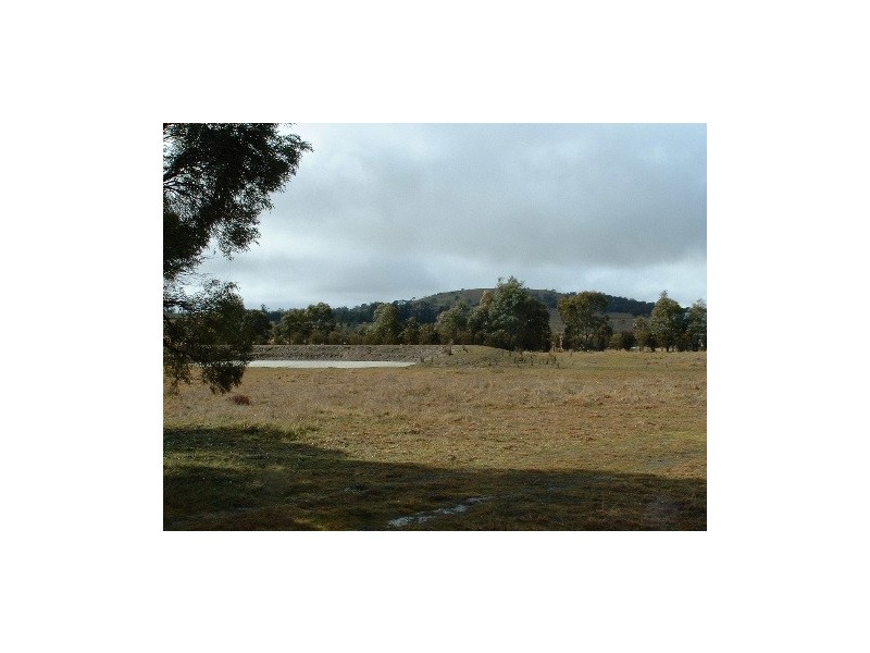 155 Dumaresq Road, Saumarez Ponds NSW 2350