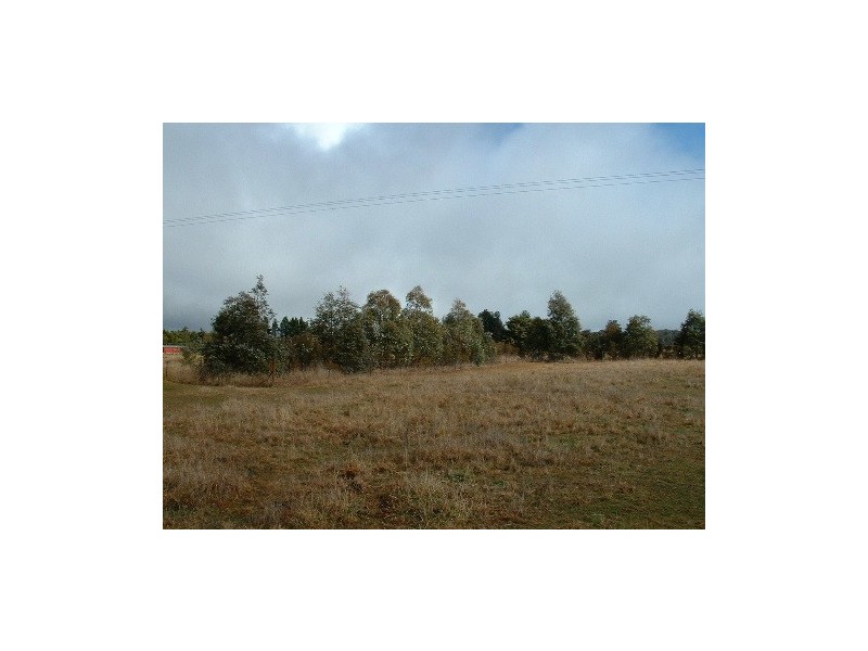 155 Dumaresq Road, Saumarez Ponds NSW 2350