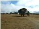155 Dumaresq Road, Saumarez Ponds NSW 2350