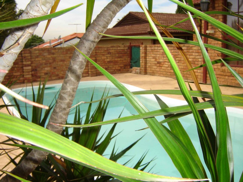 32 Fergusson St, Glenfield NSW 2167