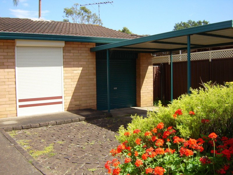 9 Clarence St, Macquarie Fields NSW 2564