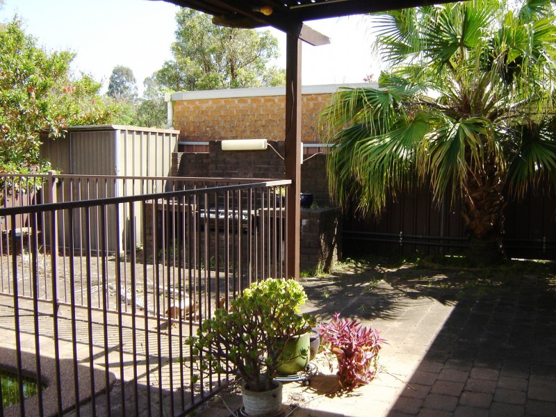 9 Clarence St, Macquarie Fields NSW 2564