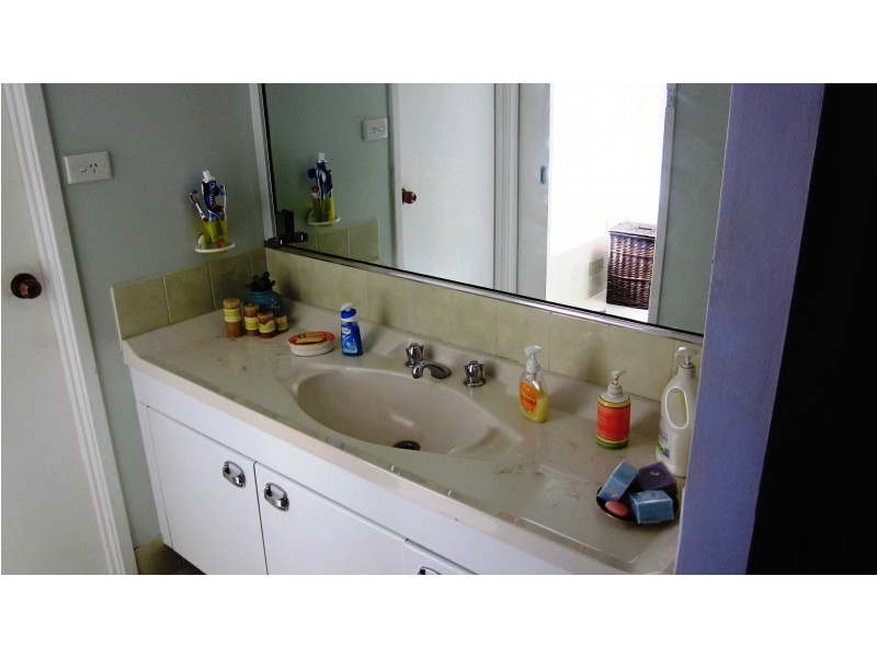 20 Salter Ave, Minto NSW 2566