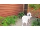 4/3 Daru Pl, Glenfield NSW 2167