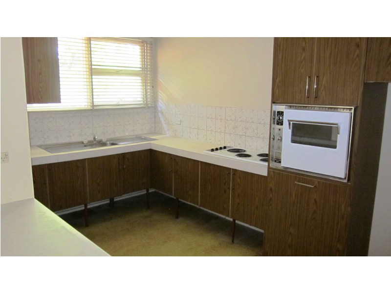 19 Harvey St, Macquarie Fields NSW 2564