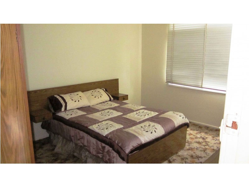 19 Harvey St, Macquarie Fields NSW 2564