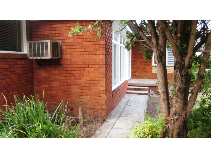 19 Harvey St, Macquarie Fields NSW 2564