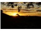 77 Canterbury Rd, Glenfield NSW 2167