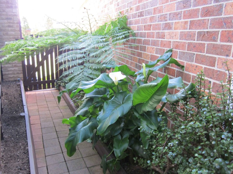 7/31 Belmont Rd, Glenfield NSW 2167