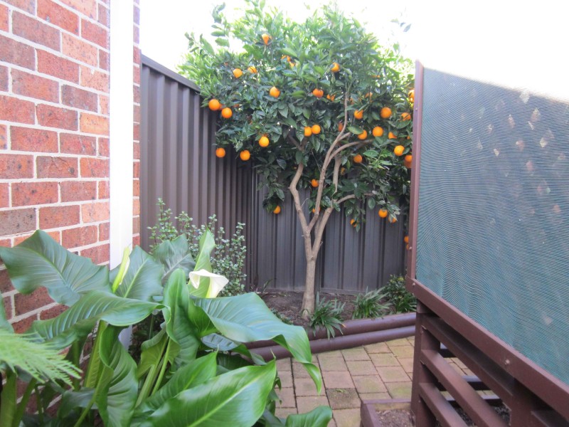 7/31 Belmont Rd, Glenfield NSW 2167