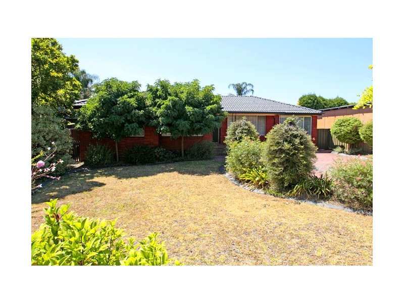 Macquarie Fields NSW 2564