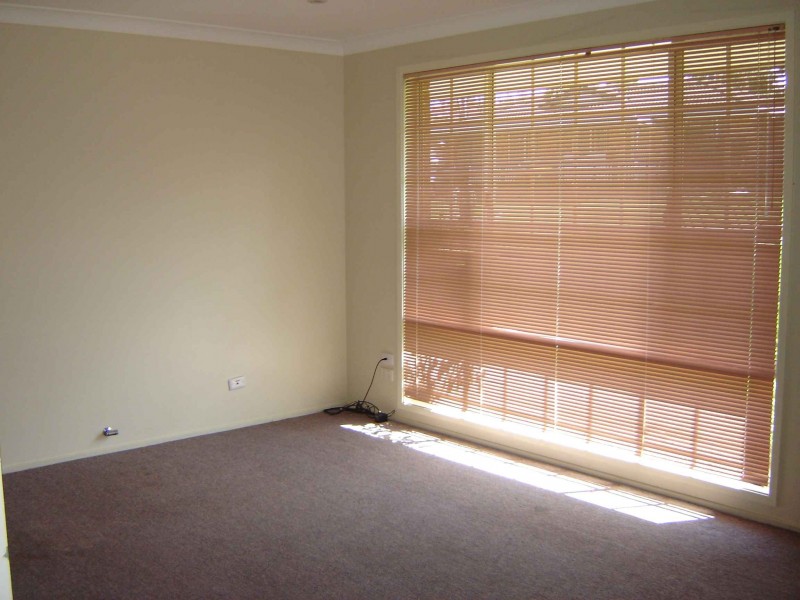 17 Jersey Pde, Minto NSW 2566