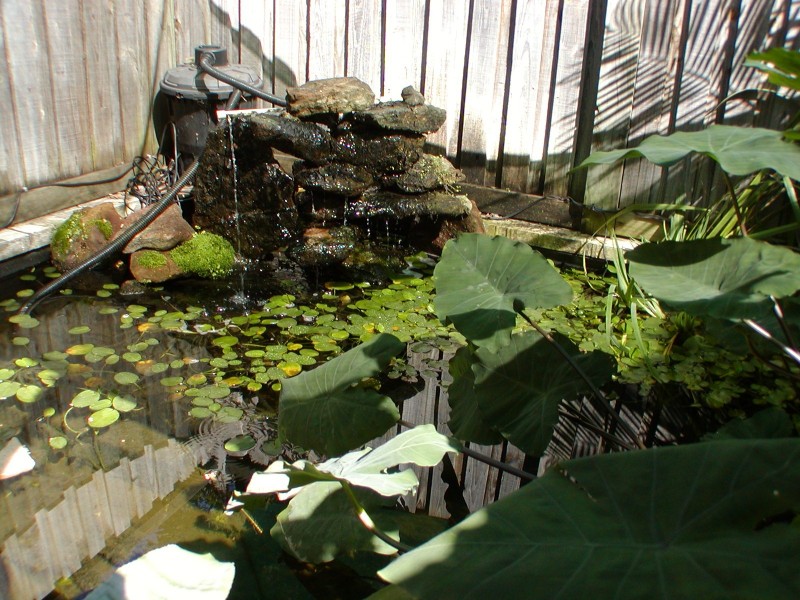 24 Karrabee Ave, Huntleys Cove NSW 2111