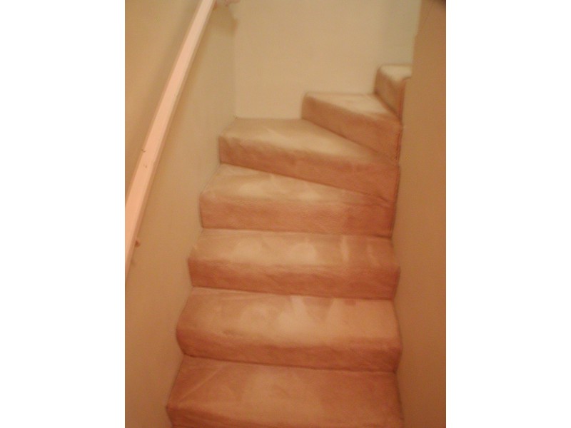 313 Harris Street, Pyrmont NSW 2009