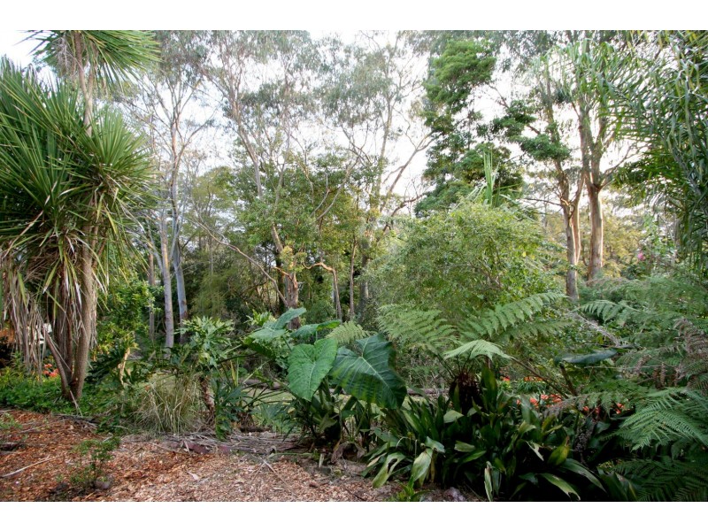 6/1208 Pacific Highway, Pymble NSW 2073