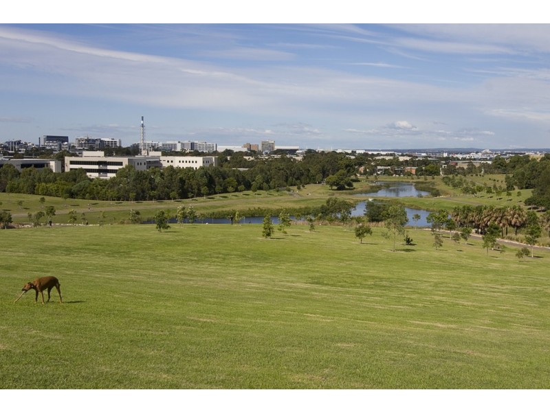 63 Brown St, St Peters NSW 2044