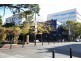 35 McKee St, Ultimo NSW 2007