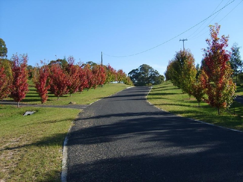 201 Morris Place, Little Hartley NSW 2790