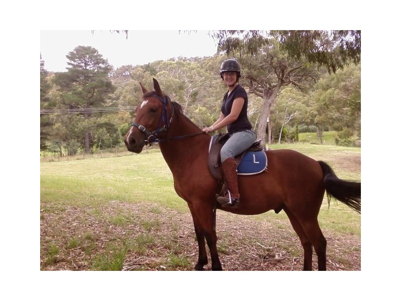 203 Morris Place, Little Hartley NSW 2790