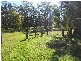 Cooranbong NSW 2265