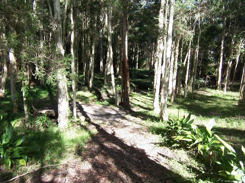 Martinsville NSW 2265