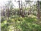 Mirrabooka NSW 2264